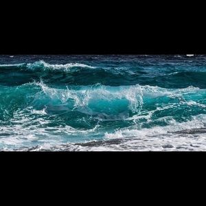 Meet your Posher, Anna!